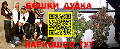 прущие грибы Нягань