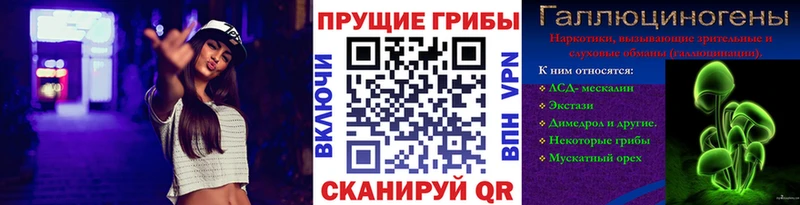 Галлюциногенные грибы Cubensis  блэк спрут вход  Ногинск 
