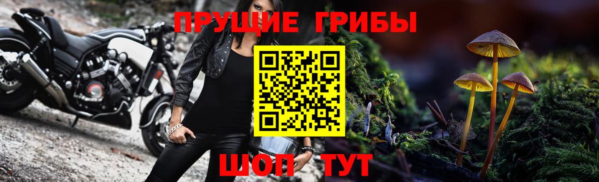Ногинск  Псилоцибиновые грибы мухоморы  Вход с VPN  Галлюциногенные грибы GOLDEN TEACHER 